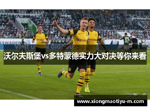 沃尔夫斯堡vs多特蒙德实力大对决等你来看